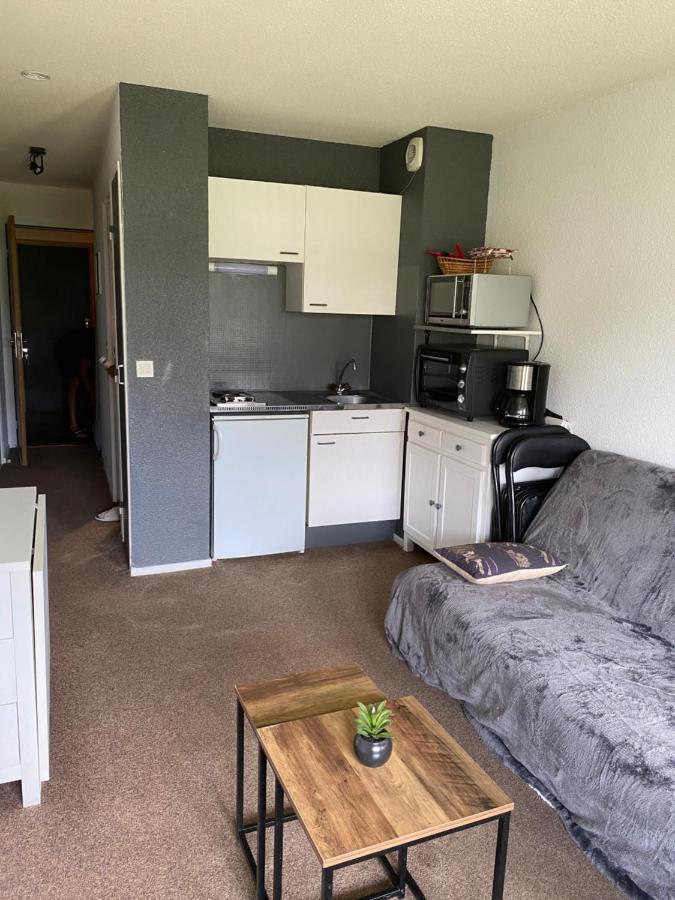 Bel Appartement 4 A 6 Couchages Au Pied Des Pistes A Superbagneres Saint-Aventin Екстериор снимка